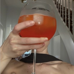 @adreamihave