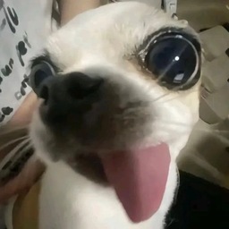 @pea
